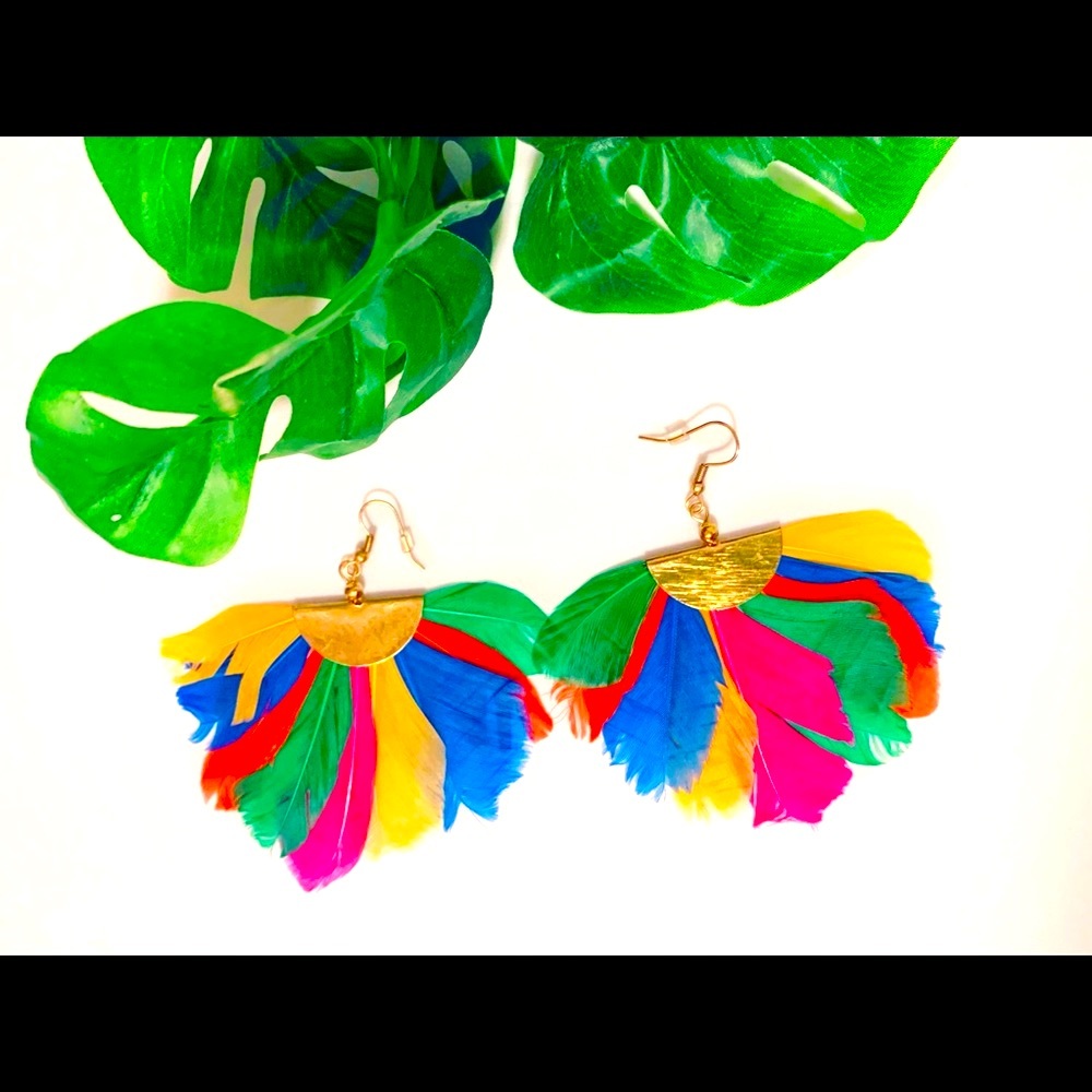 Multicolored Feather Earrings